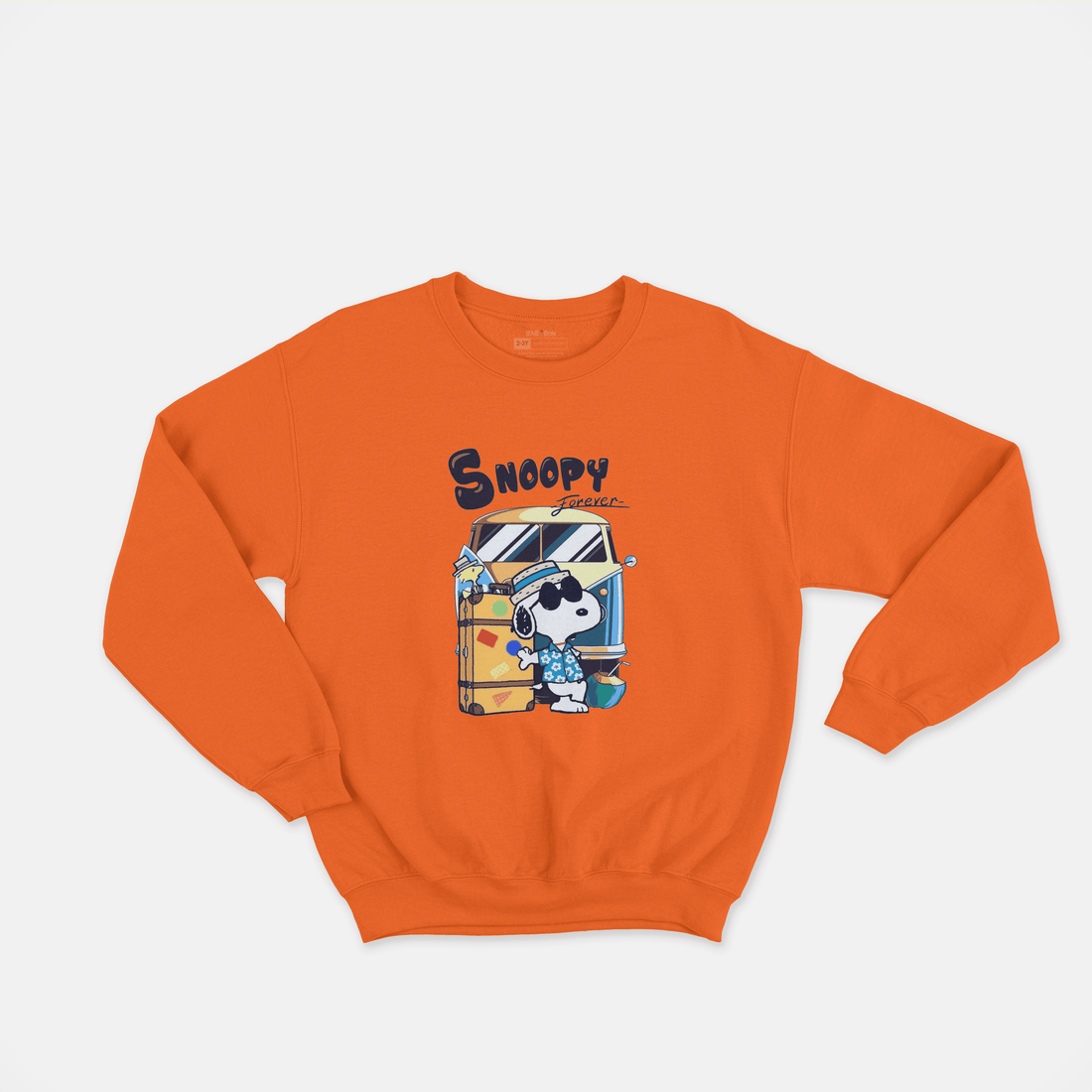 Snoopy Sweatshirt - Surteez